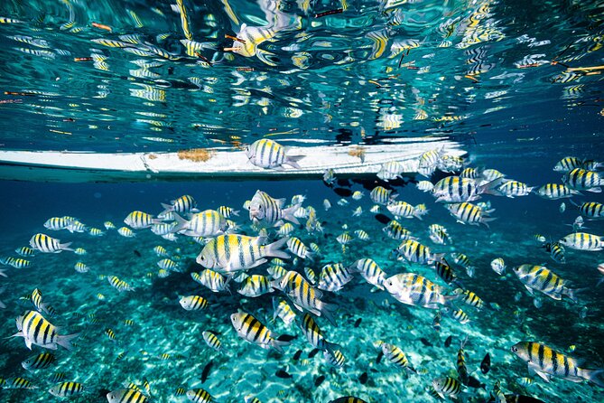 2 in 1 Parasail Cancun and Jet ski - Booking, cancellation, and weather details