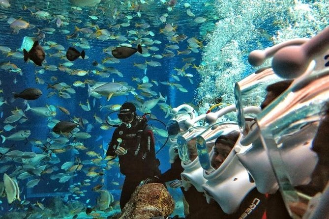 Bali Best Watersport Sea walker,Parasailing adventure,Jet sky - Tanjung Benoa beach and the activity base