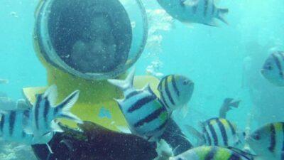 Sea Walk, Solo Jetski and Parasailing with Pickup