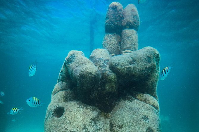 Cancun Adventure: Reef Snorkeling & Parasailing Experience - Parasailing above the Caribbean