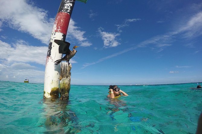 Cancun Adventure: Reef Snorkeling & Parasailing Experience - Four snorkeling stops, four different reasons to go