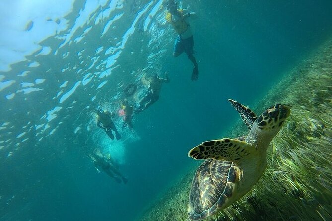 Cancun Combo Adventure: 4 Reef Snorkeling Stops & Parasailing - Guides, safety, and what the support really means