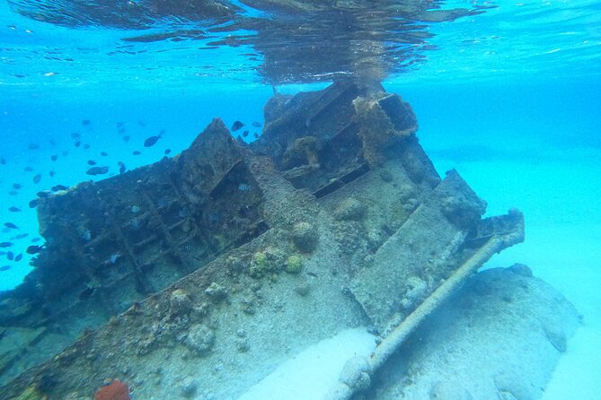 Cancun Fly and Swim Parasailing and Snorkeling Combo Tour - What is included, and what you still need to plan