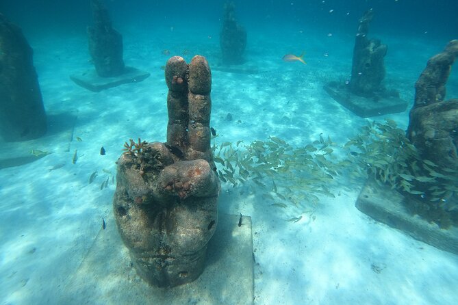 Cancun Fly and Swim Parasailing and Snorkeling Combo Tour - Who will get the most from this tour