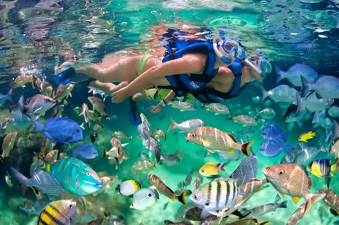 Catamaran Cruise with Snorkeling & Parasailing - What the $125 price really covers