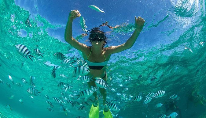 Catamaran Experience to Ile aux cerf: incl: Parasailing, Lunch, GRSE & Transfer - Grand River South East and its short waterfall ride