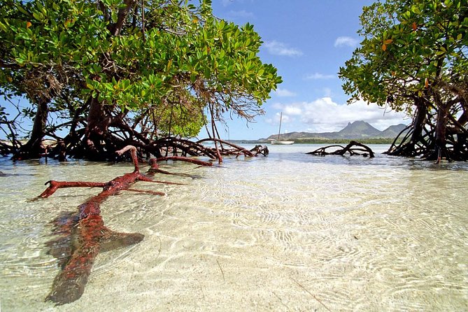 Catamaran to Ile aux Cerf with Parasailing, Tube Riding & Lunch - A packed day on Mauritius’s east coast