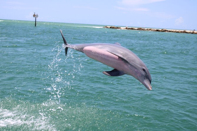 Experience Parasailing in Sarasota - What the $99 price really buys