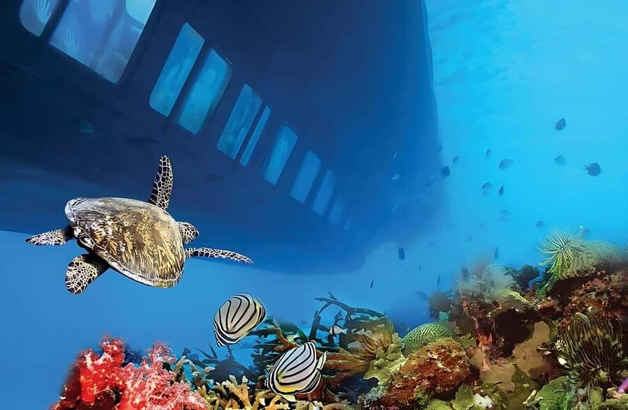 Hurghada: Glass Boat & Snorkeling with Optional Parasailing - Crew Service and Day-to-Day Organization