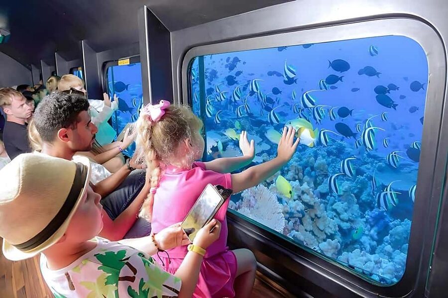 Hurghada: Glass Boat & Snorkeling with Optional Parasailing - The Speedboat Ride and Marina Setting