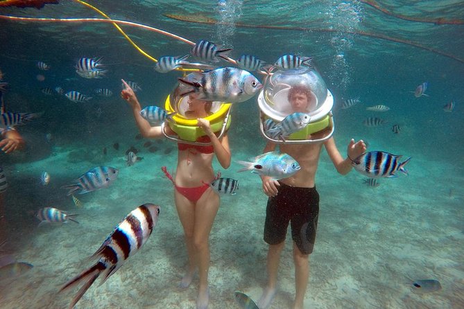 Ile aux Cerf: Speed boat with Parasailing & Tube Riding and Lunch - Four hours at Ile aux Cerfs