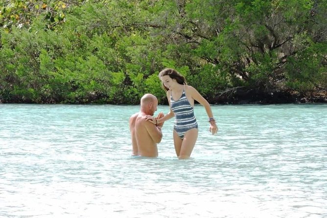 Marvelous Ile aux Cerf island: Speed Boat, Parasailing, Lunch & GRSE waterfall - What the $138.60 price includes in real value