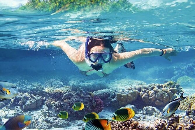 Orange Bay Island Snorkeling Trip with Parasailing - Hurghada - Two hours on Orange Bay Island