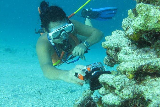 PACKAGE DEAL Catamaran- Snorkeling - Hooka Diving - Parasailing - Who should book this Punta Cana excursion?