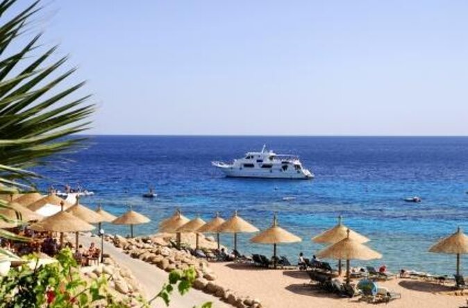 Parasailing Adventure On Marine Try Fly - Sharm El Sheikh - Key points at a glance