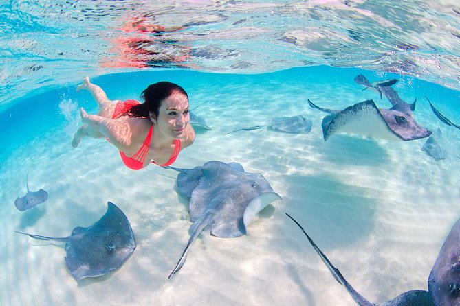Parasailing, Snorkel Cruise & Virgen Beach from Punta Cana - Sharks, stingrays, and the natural pool