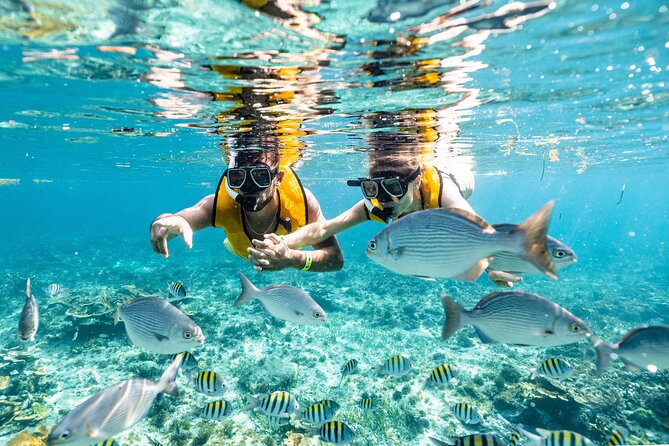 Parasailingcancun and Jet Ski tour over Cancun Bay - The snorkeling option visits five different sites