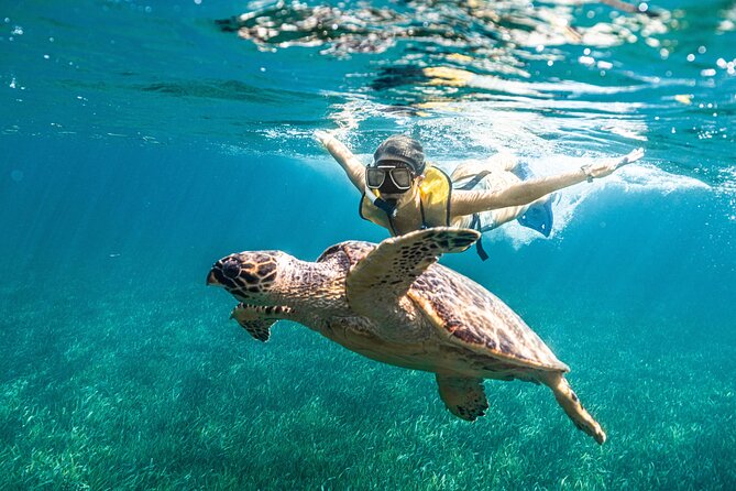 Parasailingcancun and Jet Ski tour over Cancun Bay - Equipment and group size affect the snorkeling