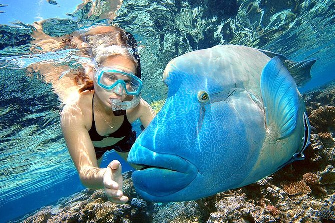 Punta Cana Combo Tour: Snorkeling, Catamaran Cruise & Parasailing - Key points at a glance
