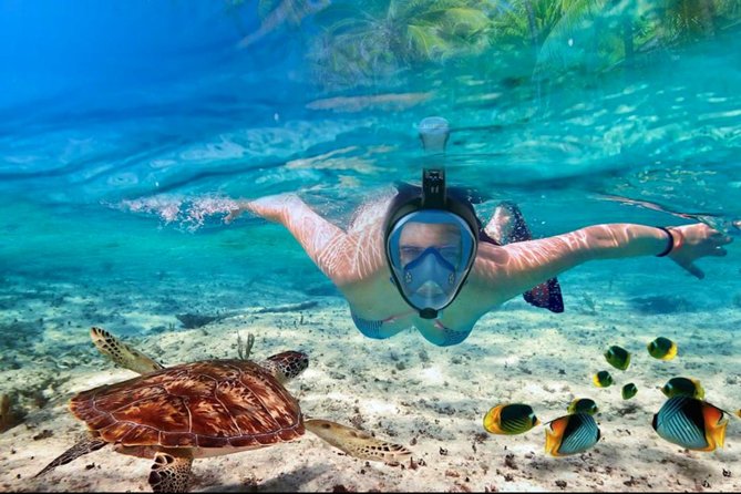 Punta Cana Combo Tour: Snorkeling, Catamaran Cruise & Parasailing - Why timing is the biggest concern