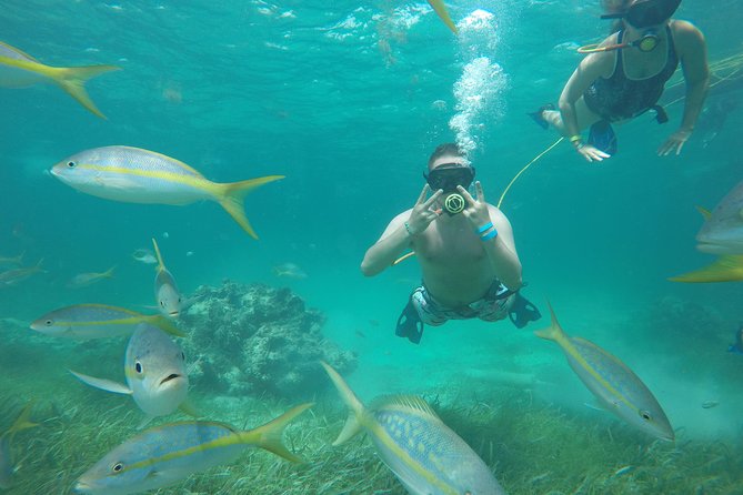 Punta Cana Party Cruise with Snorkeling, Hooka Diving and Parasailing - The waist-deep party stop