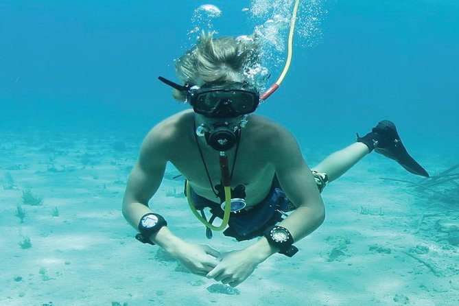 Punta Cana Party Cruise with Snorkeling, Hooka Diving and Parasailing - Price, timing, and what the $140 covers