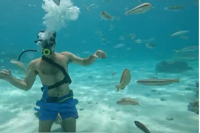Punta Cana Party Cruise with Snorkeling, Hooka Diving and Parasailing - The catamaran and the first look at the coast