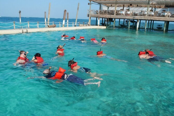 Sharks & Stingrays Snorkeling in Punta Cana with Parasailing - Meeting the nurse sharks and stingrays