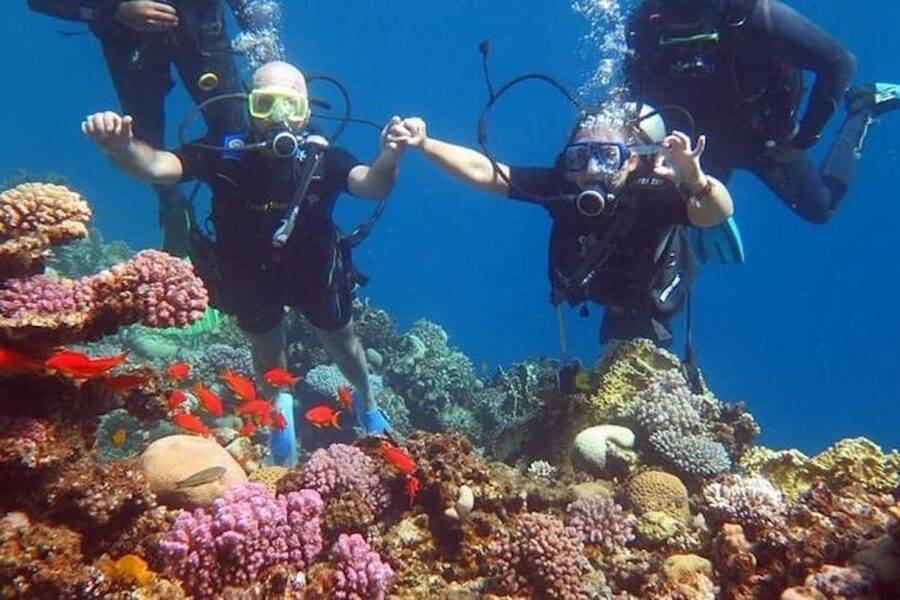 Sharm El-Sheikh: Parasailing, Camel Ride, Dive & Quad Bike - From desert tracks to Red Sea waves
