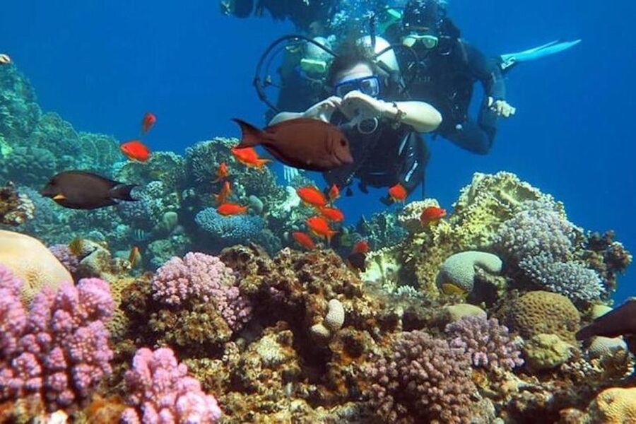 Sharm El-Sheikh: Parasailing, Camel Ride, Dive & Quad Bike - What the $41 price really covers