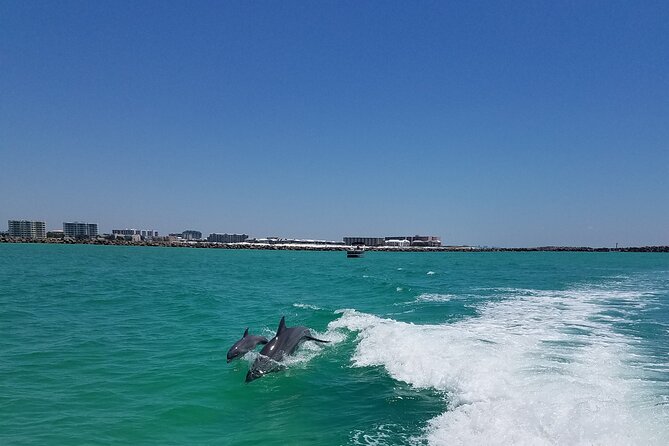 Sky High Parasailing From Marina Cafe - Destin Florida - A good choice for children and nervous first-timers
