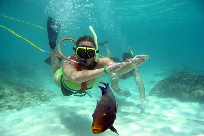 Snuba Snorkelking Parasailing and Catamaran Pack - Four water activities packed into six hours
