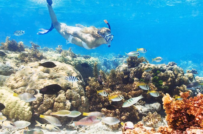 Snuba Snorkelking Parasailing and Catamaran Pack - The biggest concern: timing and communication