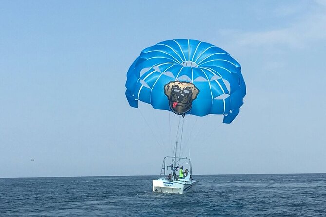 Sun Dogs Parasailing Tour in Destin Florida - What happens during the one-hour outing